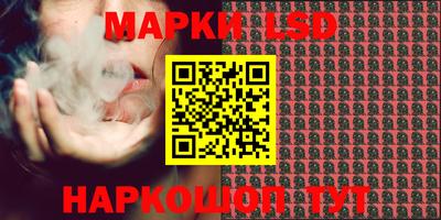 стафф Моздок