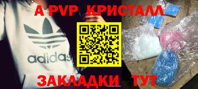 стафф Моздок